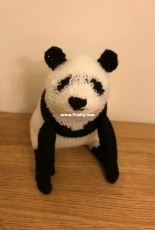 Giant Panda-Sally Muir
