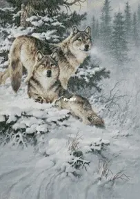 Chimera - Wolves in a Frosty Forest