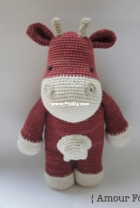 Amour Fou - Carla Mitrani - Angus the cow - Free