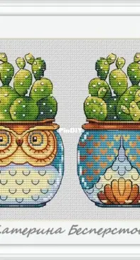 Cactus owl by Katerina Besperstova