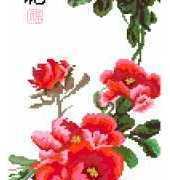 4 Classic Peonies