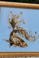 Nochka - Gold Fish