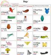 Origami Club  Bugs