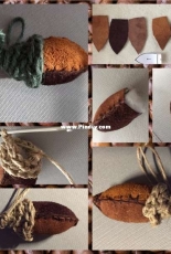 Acorn Acorn...