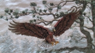 Majestic Eagle - Dimensions 13640