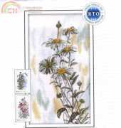 RTO M261 Tender Daisies