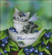 HAED HAEDMED 12360 Blueberry Kitten by Melissa Dawn XSD