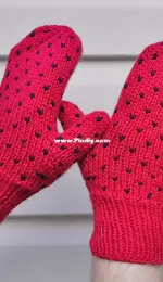 Moffat Mittens by Galt House of Yarn-Free