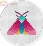Daily Cross Stitch Pretty Moth