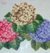 hydrangeas