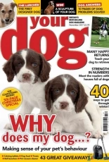 Your Dog - November 2017