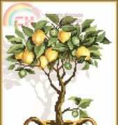 Lemon Tree
