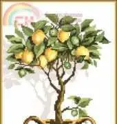 Lemon Tree
