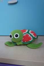 My turtle