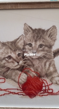 cats beau to stitch