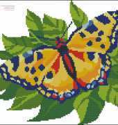 PC Studio C-043 - Yellow Butterfly