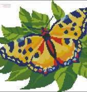 PC Studio C-043 - Yellow Butterfly