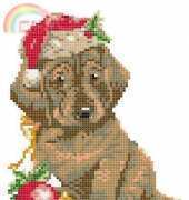 Elsa Williams JCA 03338 Hush Puppy PCS
