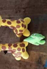 Giraffe so cute