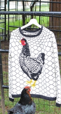 All Cooped Up Sweater by Caitlin Shepherd