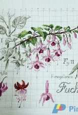 DFEA Flower