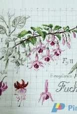 DFEA Flower