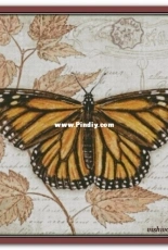 Chimera - Butterfly Vintage 12 by Jane Shasky