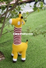 Giraffe ami