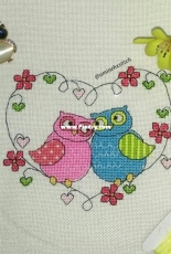 owls