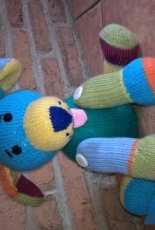 multicolor dog