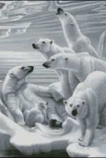 White Bears by Yushchuk/Mully