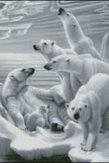 White Bears by Yushchuk/Mully