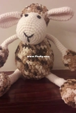 Melange sheep