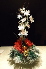 orchids in the new year