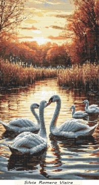 Swans by Silvia Romero Vieira - Free