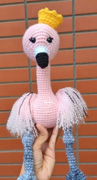 Flamingo for the first time