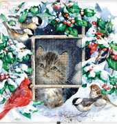Dimensions - Daydreams 73504 Winter Kitten XSD