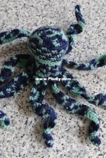 Little Octopus