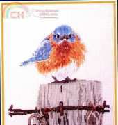 Bucilla 42733 Mad Blue Bird