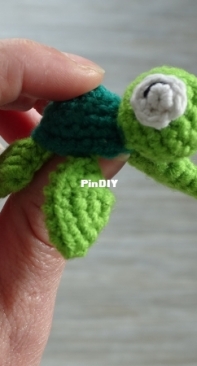 mini turtle