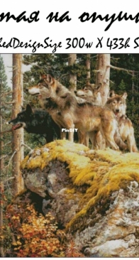 Chimera - A Pack At The Edge Of The Forest