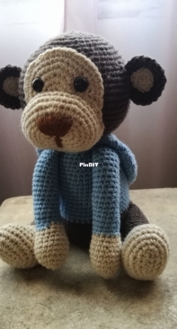 little monkey with sweatshirt