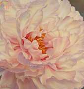 HAED MAB 285 Peony petals by Marianne Broome
