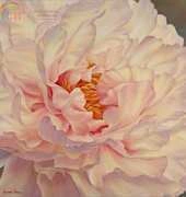 HAED MAB 285 Peony petals by Marianne Broome