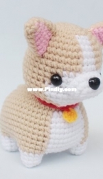 Zaalimdolly- Pembroke Welsh Corgi - English or Turkish