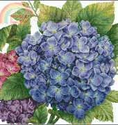 Dome 80602 Hydrangea