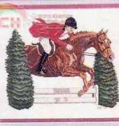 Brown Jumper from Graphique Needle Arts Book 13 Horses in Motion