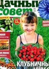 Dachny owl-N°6-June 2014 /Russian