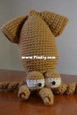Squid