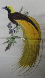 Yellow Bird of Paradise